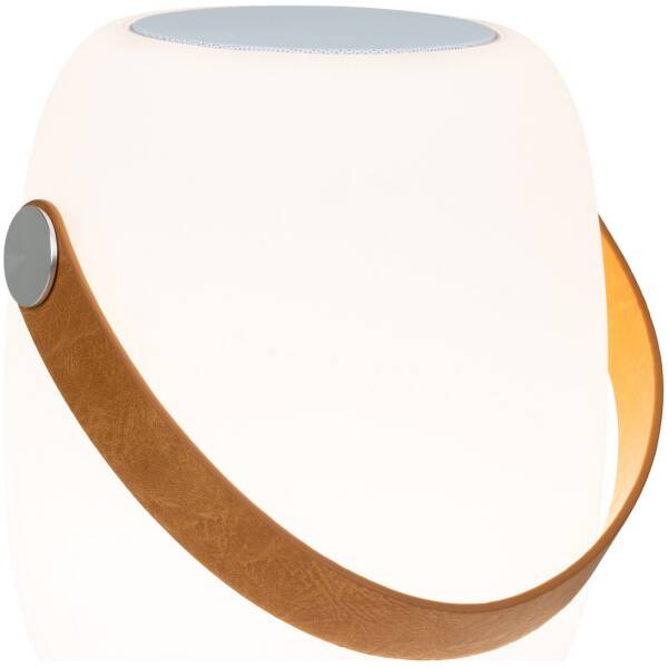 Cardiff Led Lamp & Bluetooth Speaker